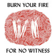 Angel Olsen - Burn your fire for no witness (CD) - Velvet Music