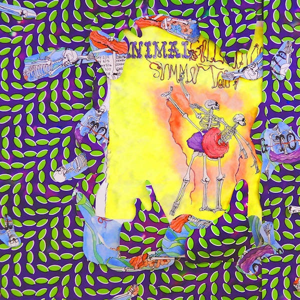 Animal Collective - Ballet slippers (LP) - Velvet Music