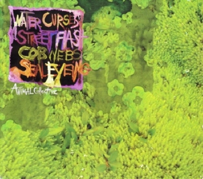Animal Collective - Water curses (CD)