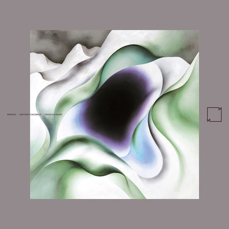Anthony Calonico - Spacious heart (LP)