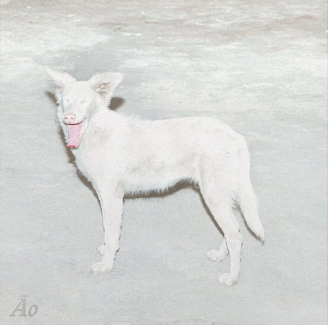 Ao - Malandra (CD) - Velvet Music