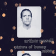 Arthur Russell - Picture of bunny rabbit (CD) - Velvet Music