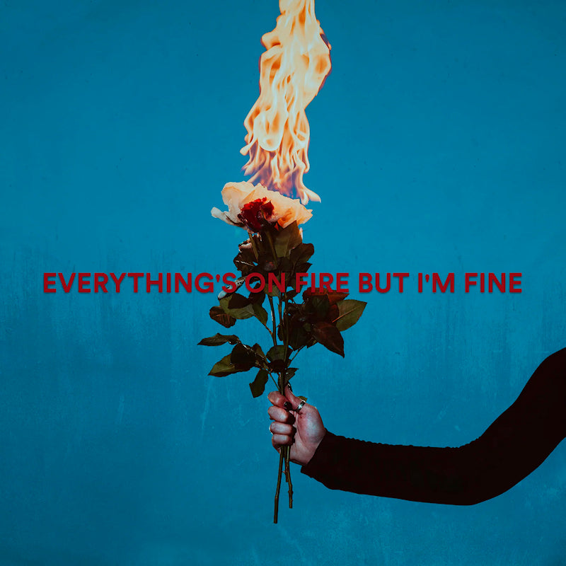 As December Falls - Everythings on fire but im fine (LP)