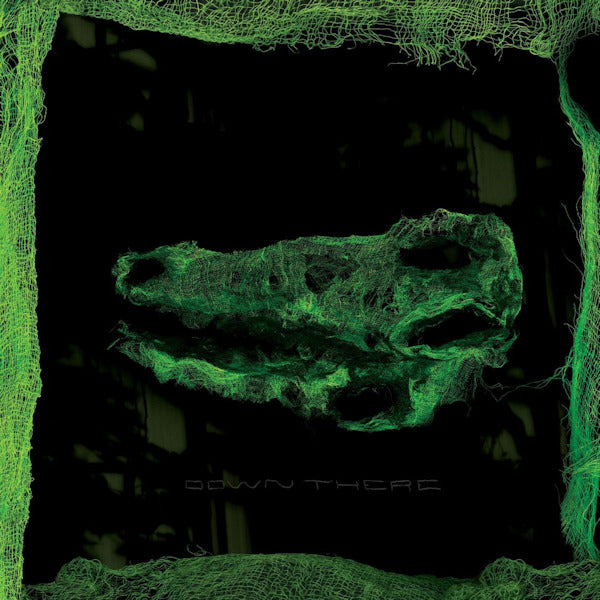 Avey Tare - Down there (CD) - Velvet Music