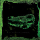 Avey Tare - Down there (CD) - Velvet Music