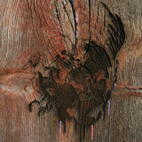 Avey Tare's Slasher Flicks - Enter the slasher house (CD) - Velvet Music