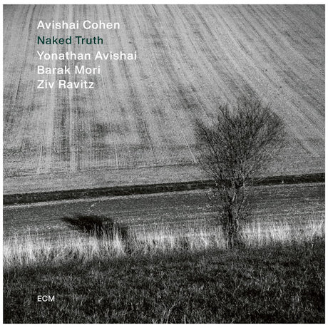 Avishai Cohen - Naked truth (LP) - Velvet Music