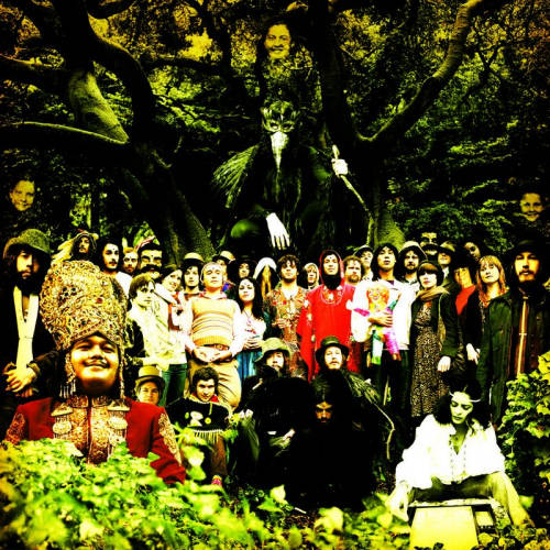 Devendra Banhart - Cripple crow (LP) - Velvet Music