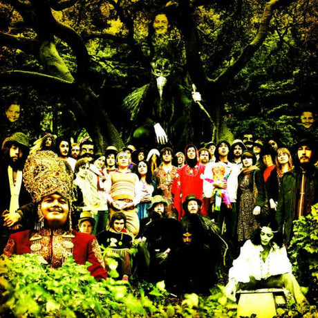 Devendra Banhart - Cripple crow (CD) - Velvet Music
