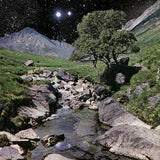 Beta Band - Beta band (LP) - Velvet Music