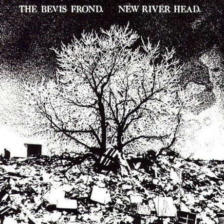 Bevis Frond - New river head (LP) - Velvet Music