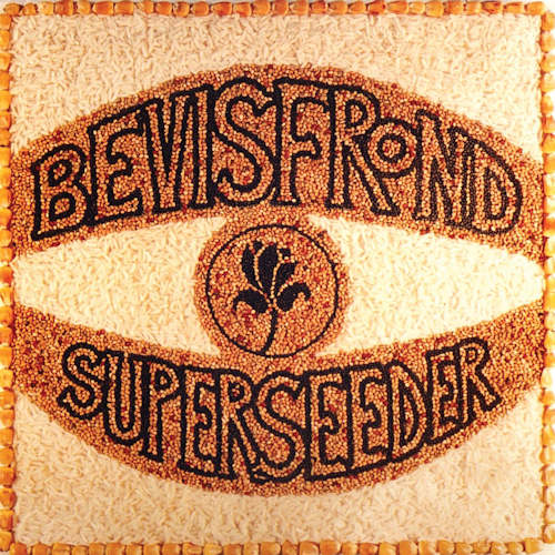 Bevis Frond - Superseeder (CD) - Velvet Music