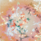 Bibio - Silver wilkinson (CD)