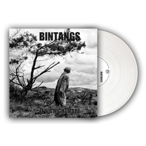 Bintangs - It's a nightmare (LP) - Velvet Music