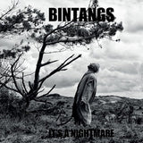 Bintangs - It's a nightmare (LP) - Velvet Music
