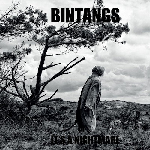 Bintangs - It's a nightmare (LP) - Velvet Music