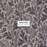 John Blek - Thistle & thorn (LP) - Velvet Music