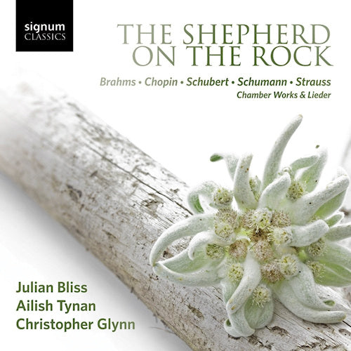 Julian Bliss - Shepherd on the rock (CD) - Velvet Music