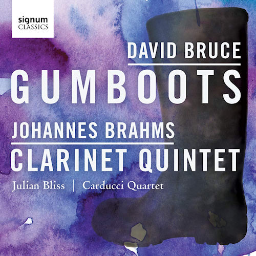 Julian Bliss - Gumboots/clarinet quintet (CD) - Velvet Music