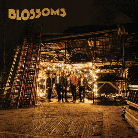 Blossoms - Blossoms (LP) - Velvet Music