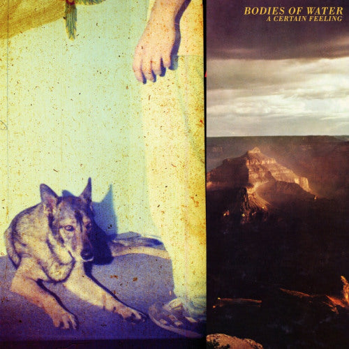 Bodies Of Water - A certain feeling (LP) - Velvet Music