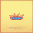 Bombay Bicycle Club - Everything else has gone wrong (LP) - Velvet Music
