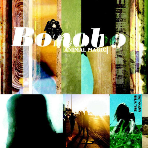 Bonobo - Animal magic (LP)