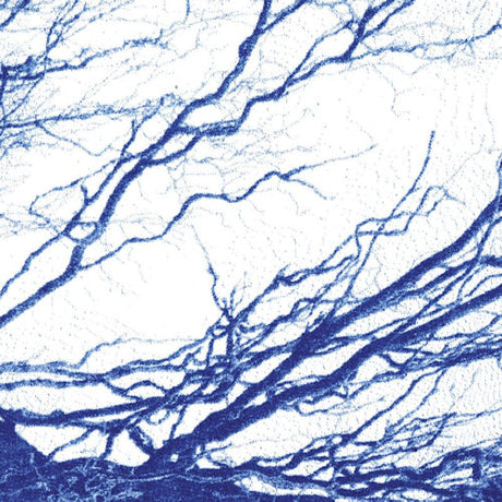 The Bony King Of Nowhere - Silent days (CD) - Velvet Music