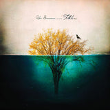 Robin Borneman - Folklore i: the waving days (LP) - Velvet Music