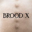 Boss Hog - Brood x (CD) - Velvet Music