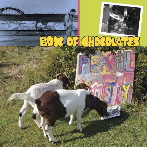 Box Of Chocolates - Fearful symmetry (LP)