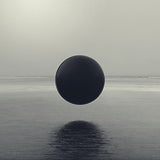 Braids - Flourish // perish (LP) - Velvet Music