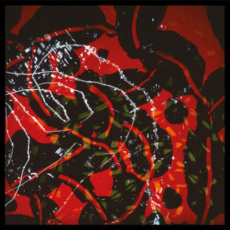 Brian Eno - Nerve net (LP) - Velvet Music
