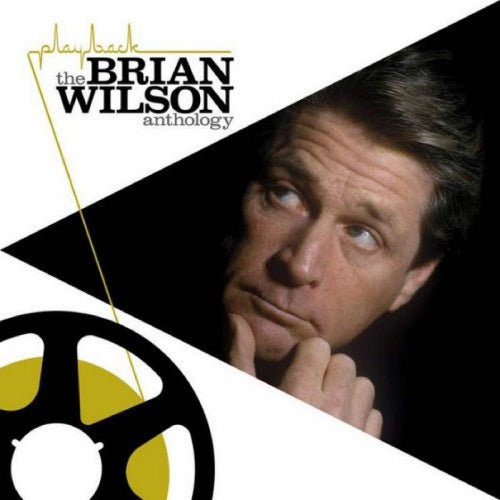 Brian Wilson - Playback: the anthology (CD)