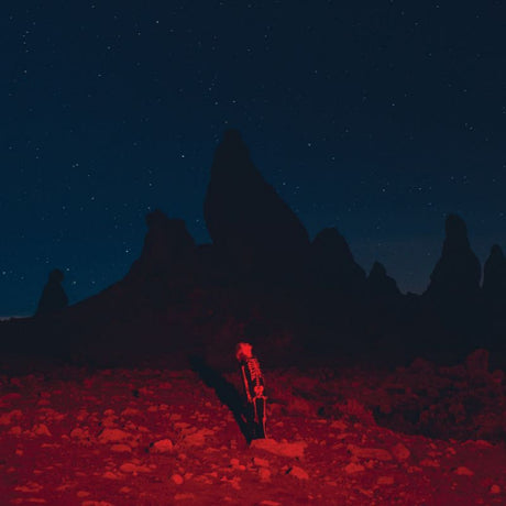 Phoebe Bridgers - Punisher (LP) - Velvet Music