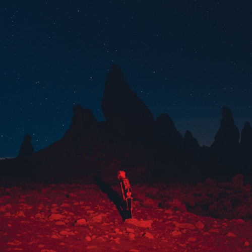 Phoebe Bridgers - Punisher (LP) - Velvet Music