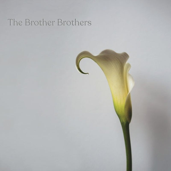 Brother Brothers - Calla lily (LP) - Velvet Music