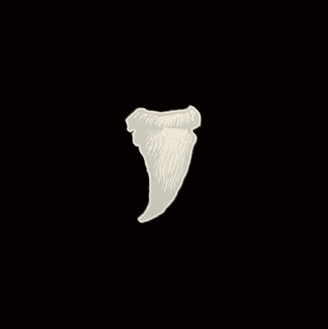 Budos Band - Long in the tooth (LP) - Velvet Music