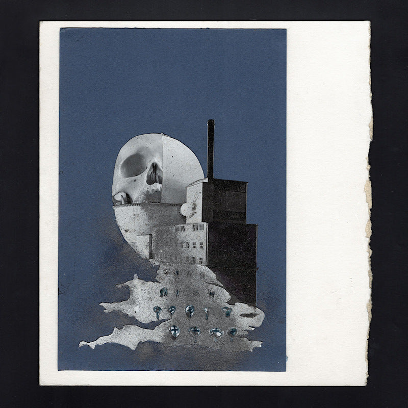 Bad Breeding - Contempt (clear) (LP) - Velvet Music