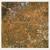 Baird Sisters, The - Until You Find Your Green (CD) - Velvet Music
