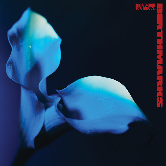 Bambara - Birthmarks (CD) - Velvet Music