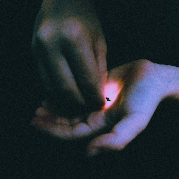 Bambara - Stray (LP) - Velvet Music