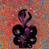 Bardo Pond - Amanita (25th anniversary edition) (LP)