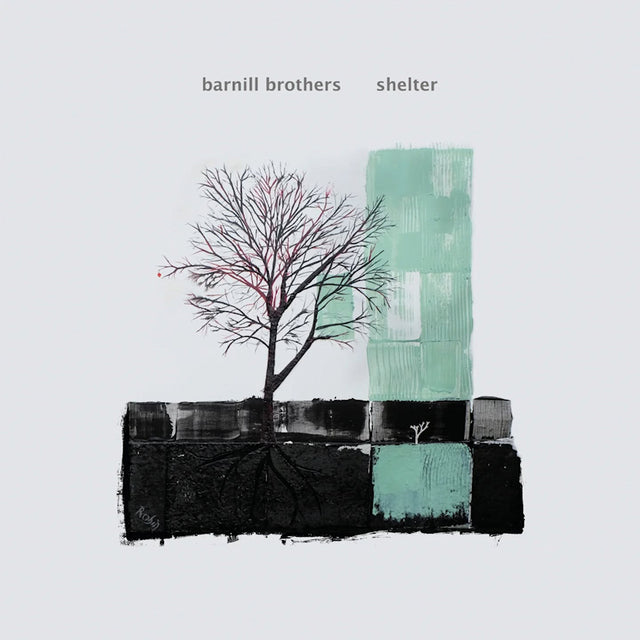 Barnill Brothers - Shelter (LP) - Velvet Music