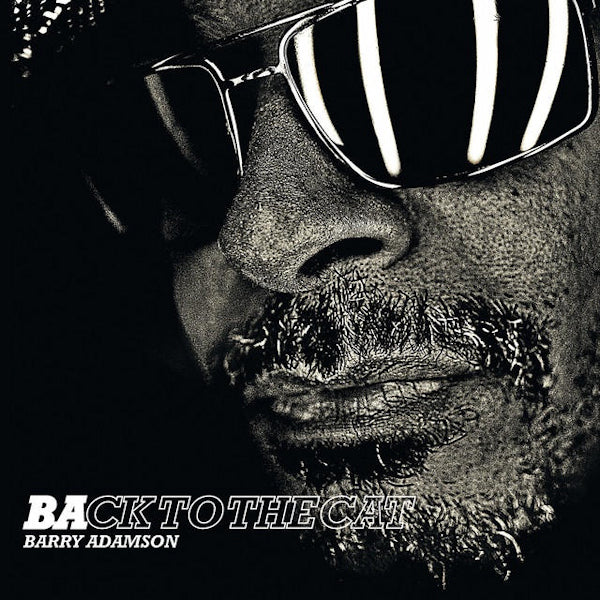 Barry Adamson - Back to the cat (LP) - Velvet Music