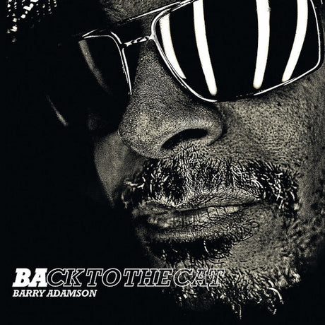 Barry Adamson - Back to the cat (LP) - Velvet Music