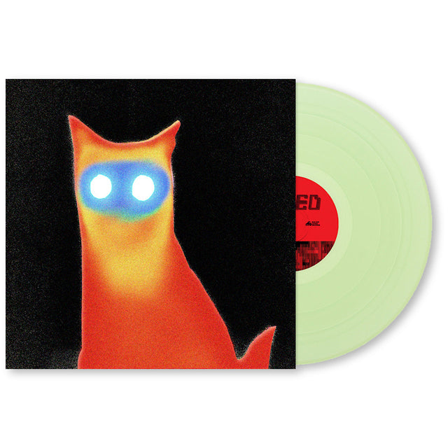 Basement - Wired (coke bottle clear) (LP) - Velvet Music