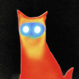 Basement - Wired (wired swirl) (LP) - Velvet Music