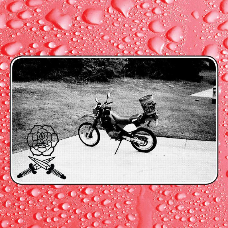 Bass Drum Of Death - Say i won't (CD) - Velvet Music