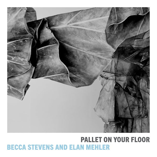 Becca Stevens and Elan Mehler - Pallet on our floor (CD) - Velvet Music